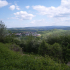 Schwarzwälder Hochwald