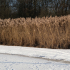 Bostalsee im Winter