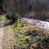 Schwarzwälder Hochwald