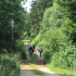 Schwarzwälder Hochwald